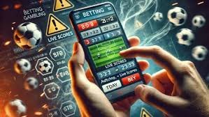555rr com